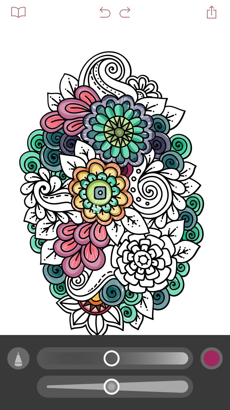 Pigment - The only true coloring book experience for adults  绘画