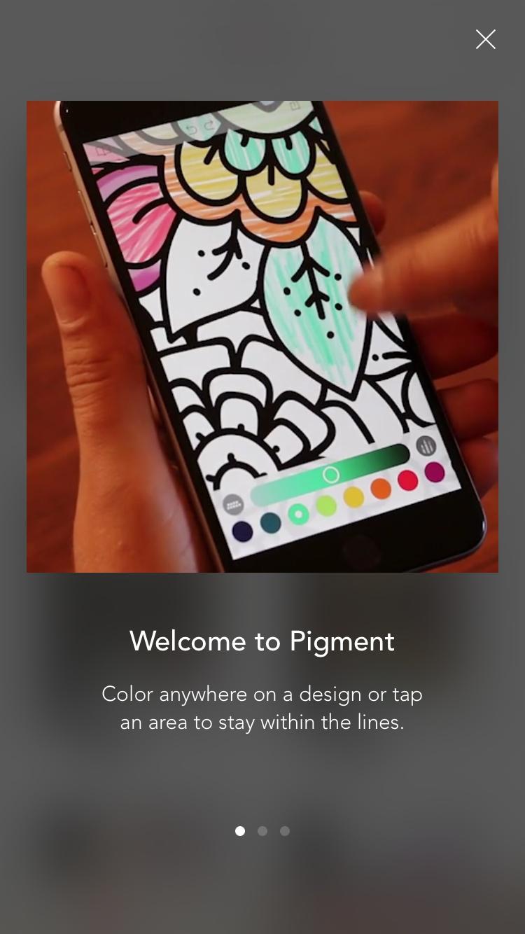 Pigment - The only true coloring book experience for adults  特性介绍