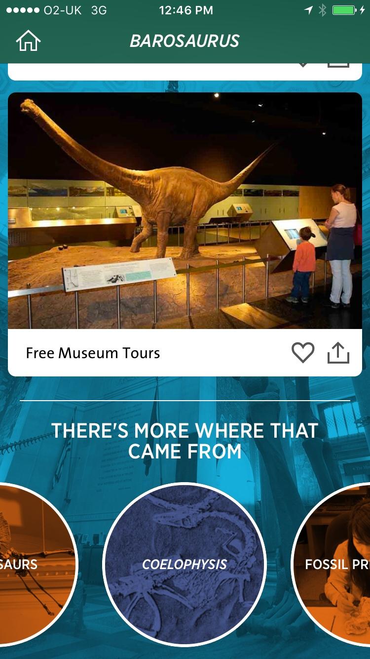 Dinosaurs: The American Museum of Natural History Collections  卡片