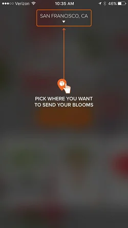 BloomThat - The best way to send flowers  提示