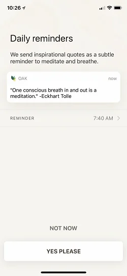 Oak - Meditation & Breathing  